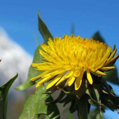 消防员驾驶救火车